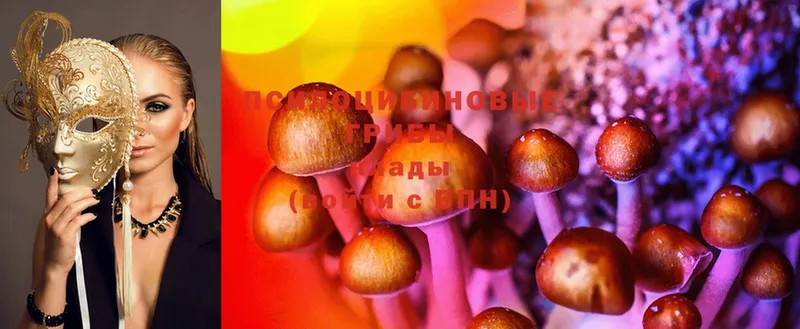 mega маркетплейс  Великие Луки  Галлюциногенные грибы Psilocybe  где найти наркотики 